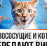 Мифы о ВИЧ - ЦРБ Верхотурского района